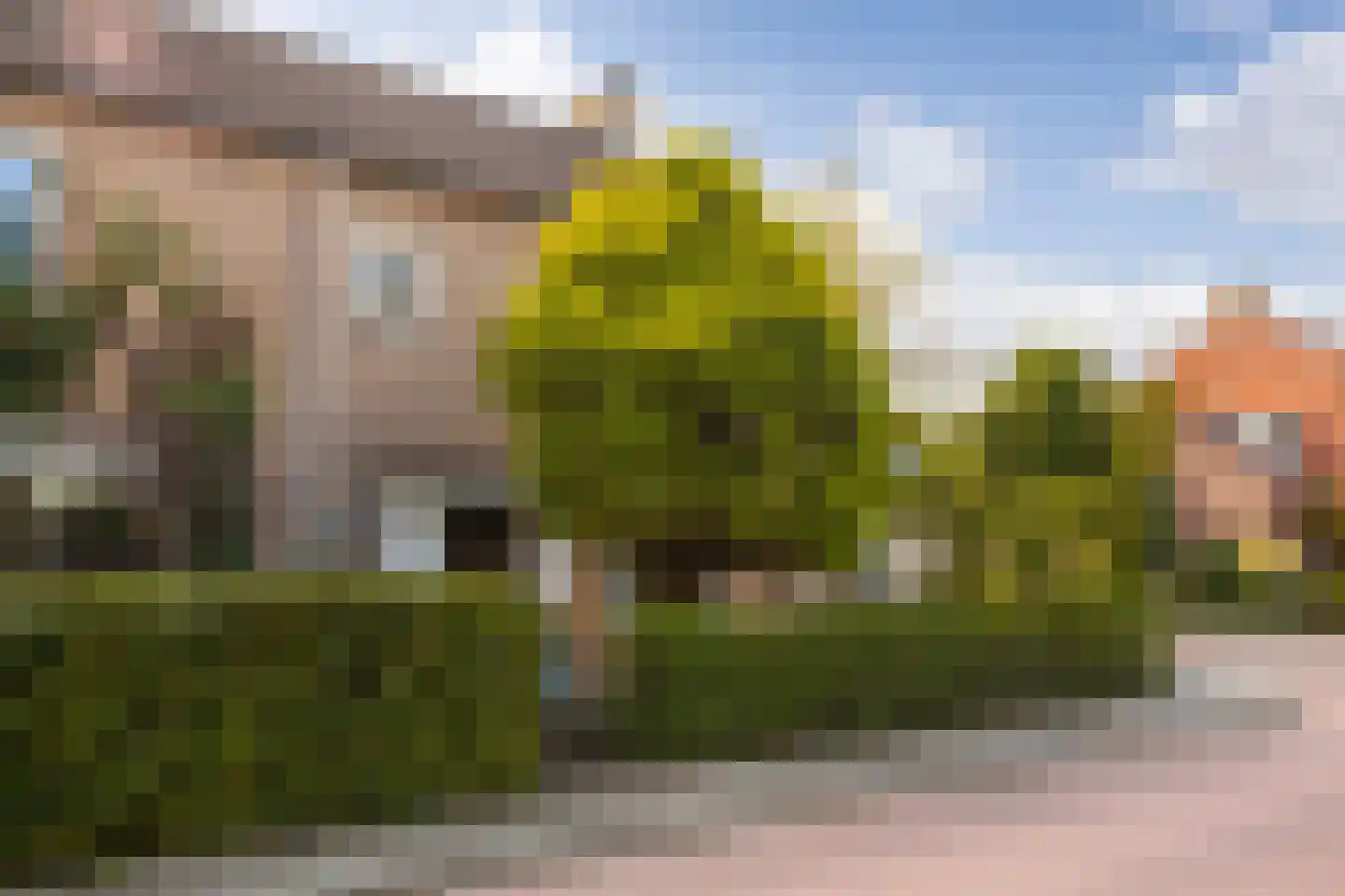 Hofstedeweg 204 Enschede thumbnail 40