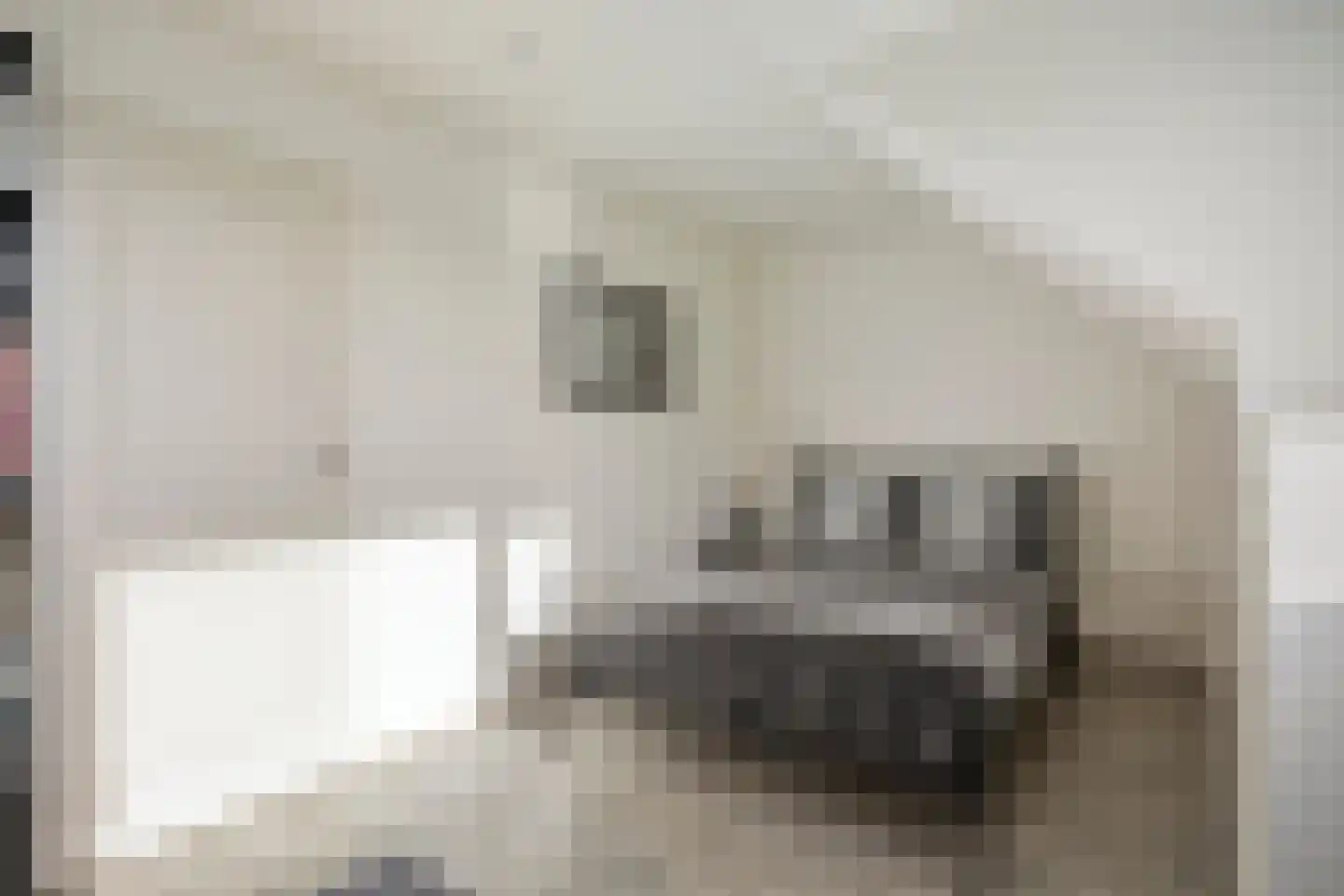 Hofstee 21 Beuningen Gld thumbnail 35