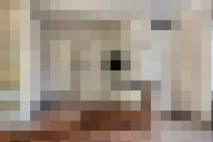 Hofstee 3 Beuningen Gld thumbnail 11