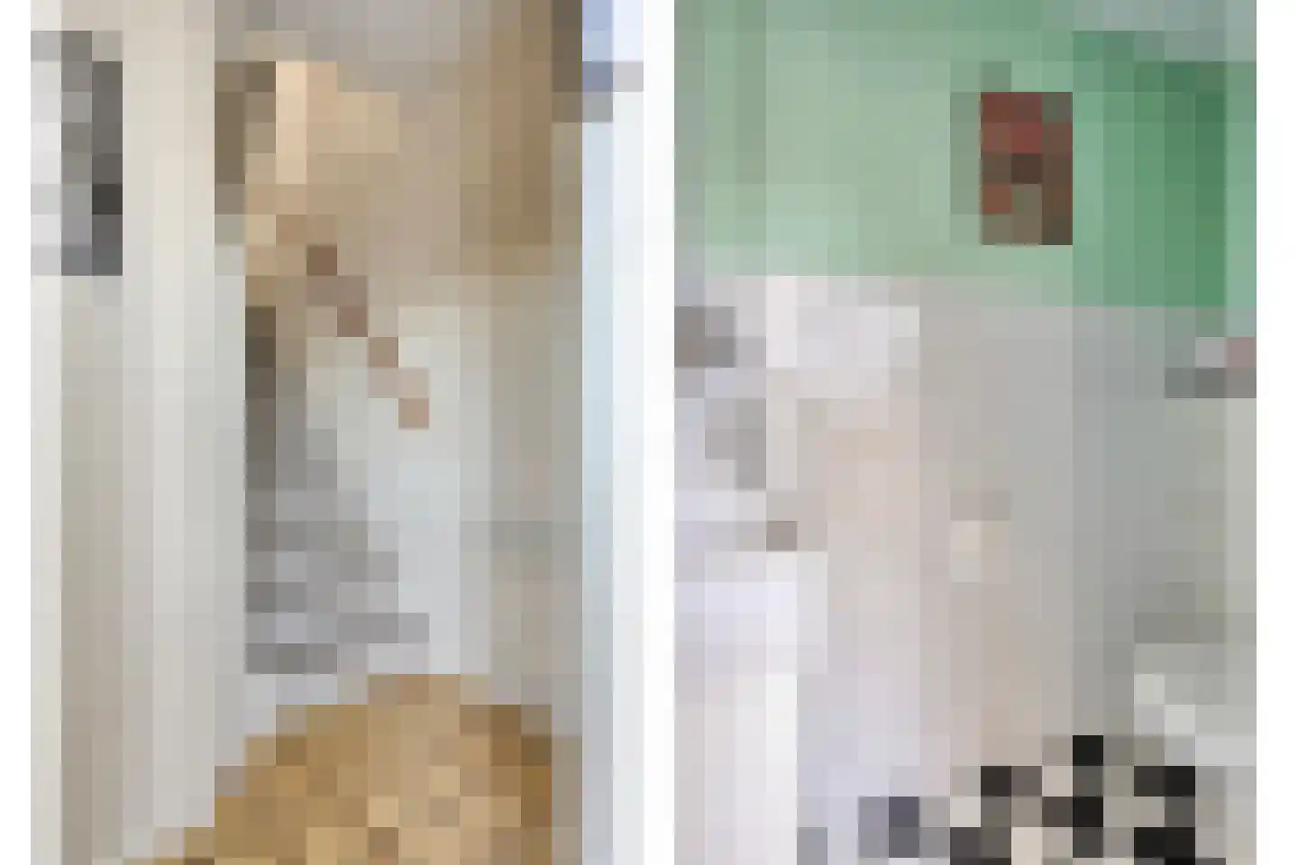 Hofstee 3 Beuningen Gld thumbnail 13