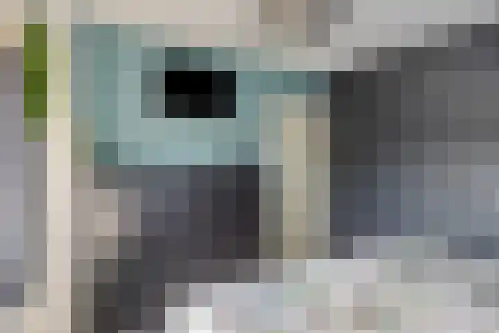 Hofstee 3 Beuningen Gld thumbnail 18