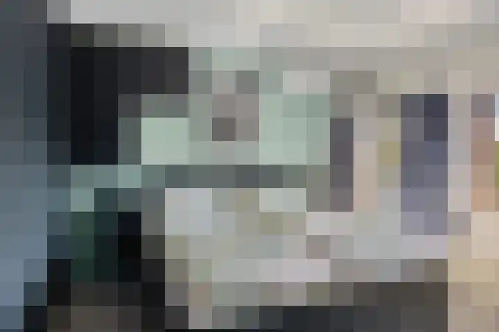 Hofstee 3 Beuningen Gld thumbnail 20