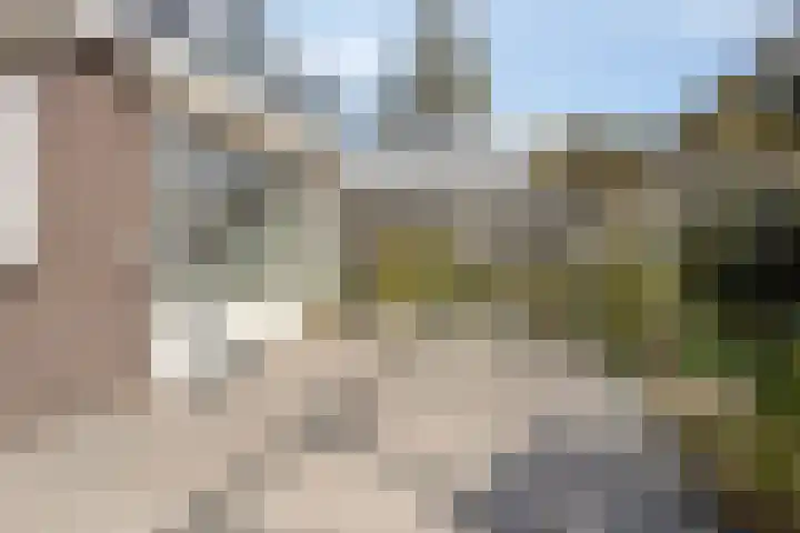 Hofstee 3 Beuningen Gld thumbnail 30