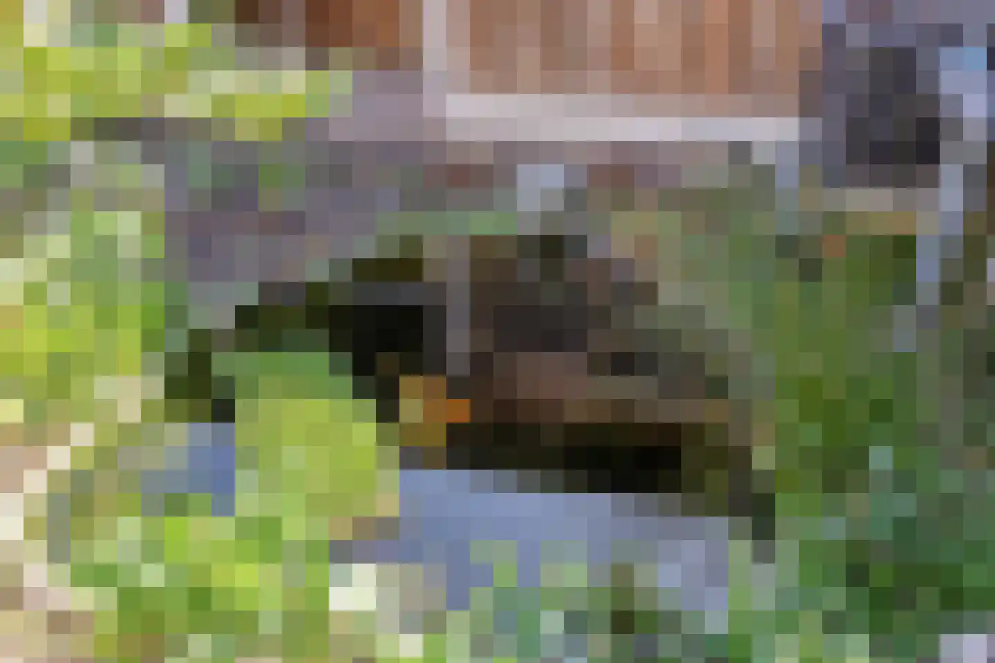 Hofstee 3 Beuningen Gld thumbnail 33