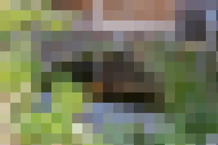 Hofstee 3 Beuningen Gld thumbnail 33