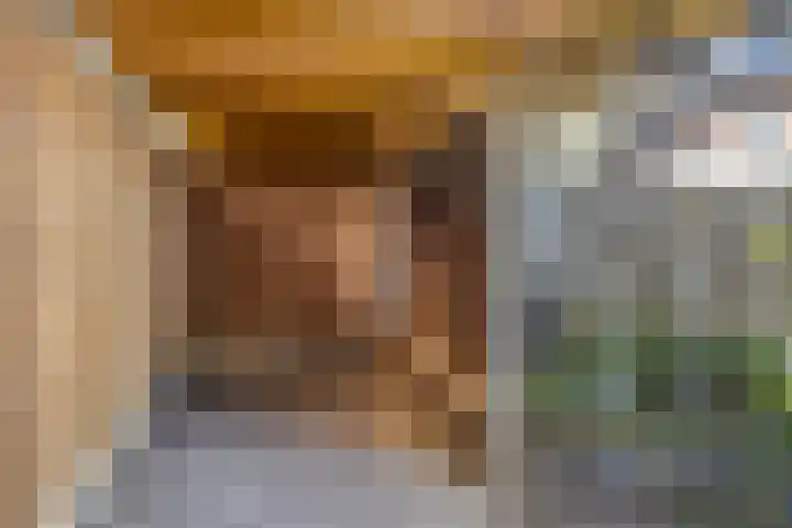 Hofstee 3 Beuningen Gld thumbnail 34
