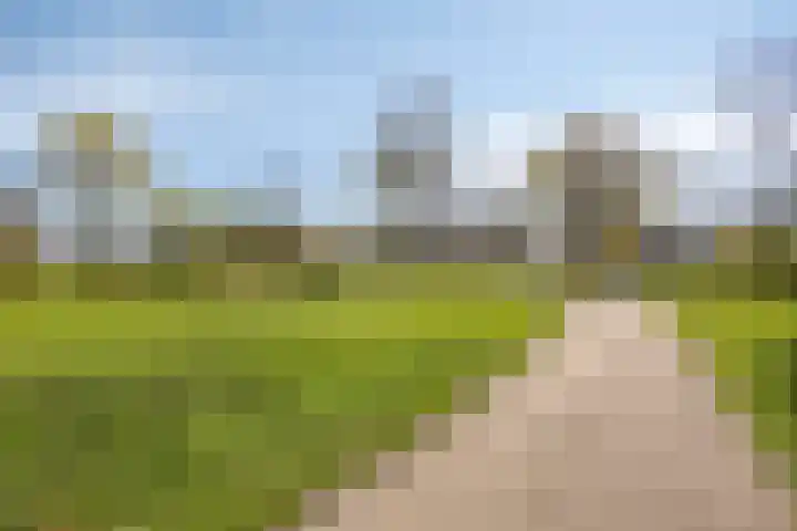 Hofstee 3 Beuningen Gld thumbnail 38