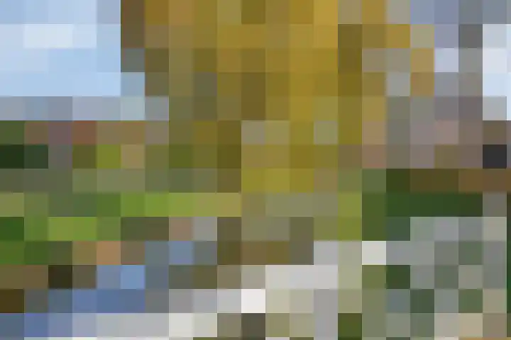 Hofstee 3 Beuningen Gld thumbnail 39