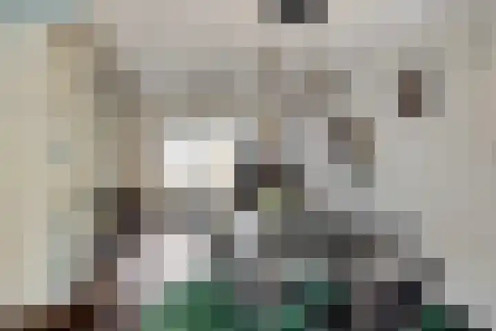 Hofstee 3 Beuningen Gld thumbnail 6