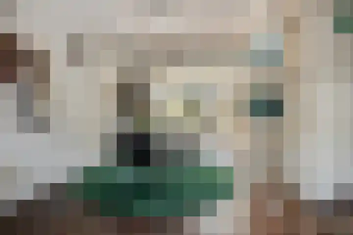 Hofstee 3 Beuningen Gld thumbnail 7