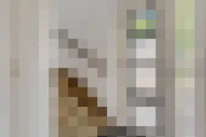 Hofsteestraat 13 Haalderen thumbnail 6