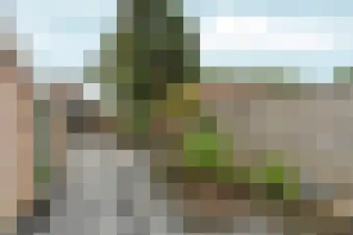 Hofsteestraat 18 Haalderen thumbnail 27