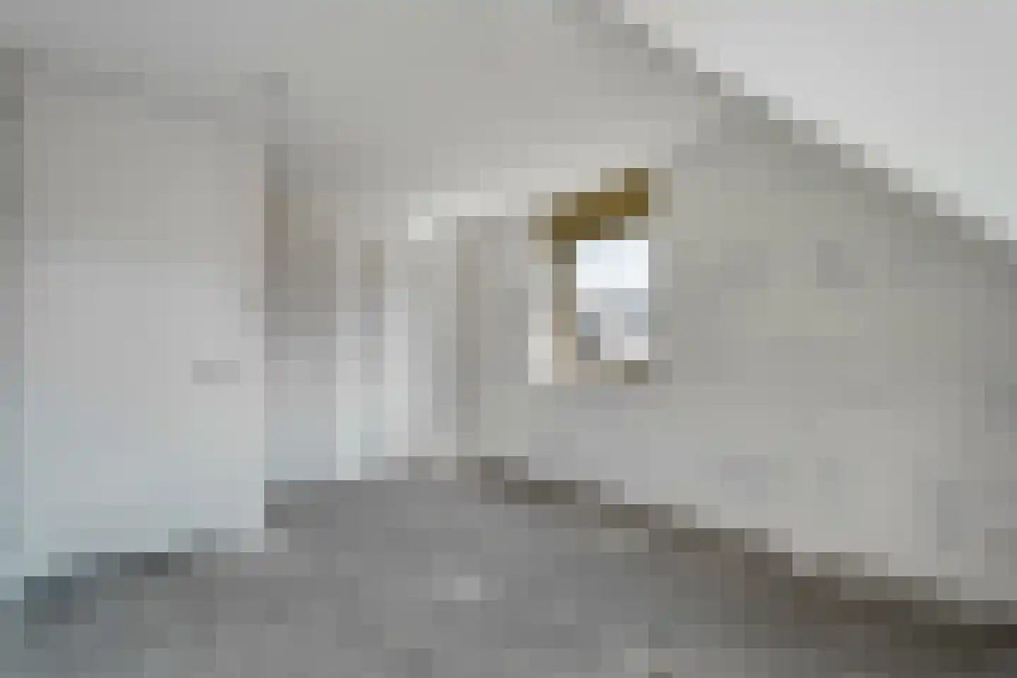 Hofstelsel 22 Meppel thumbnail 27