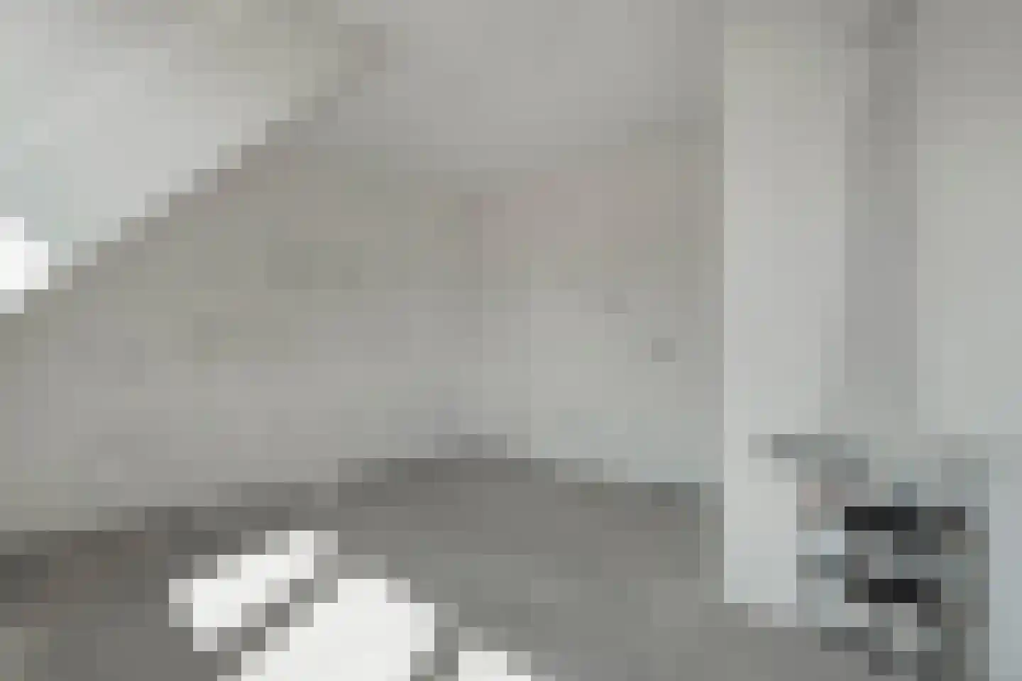 Hofstelsel 22 Meppel thumbnail 30