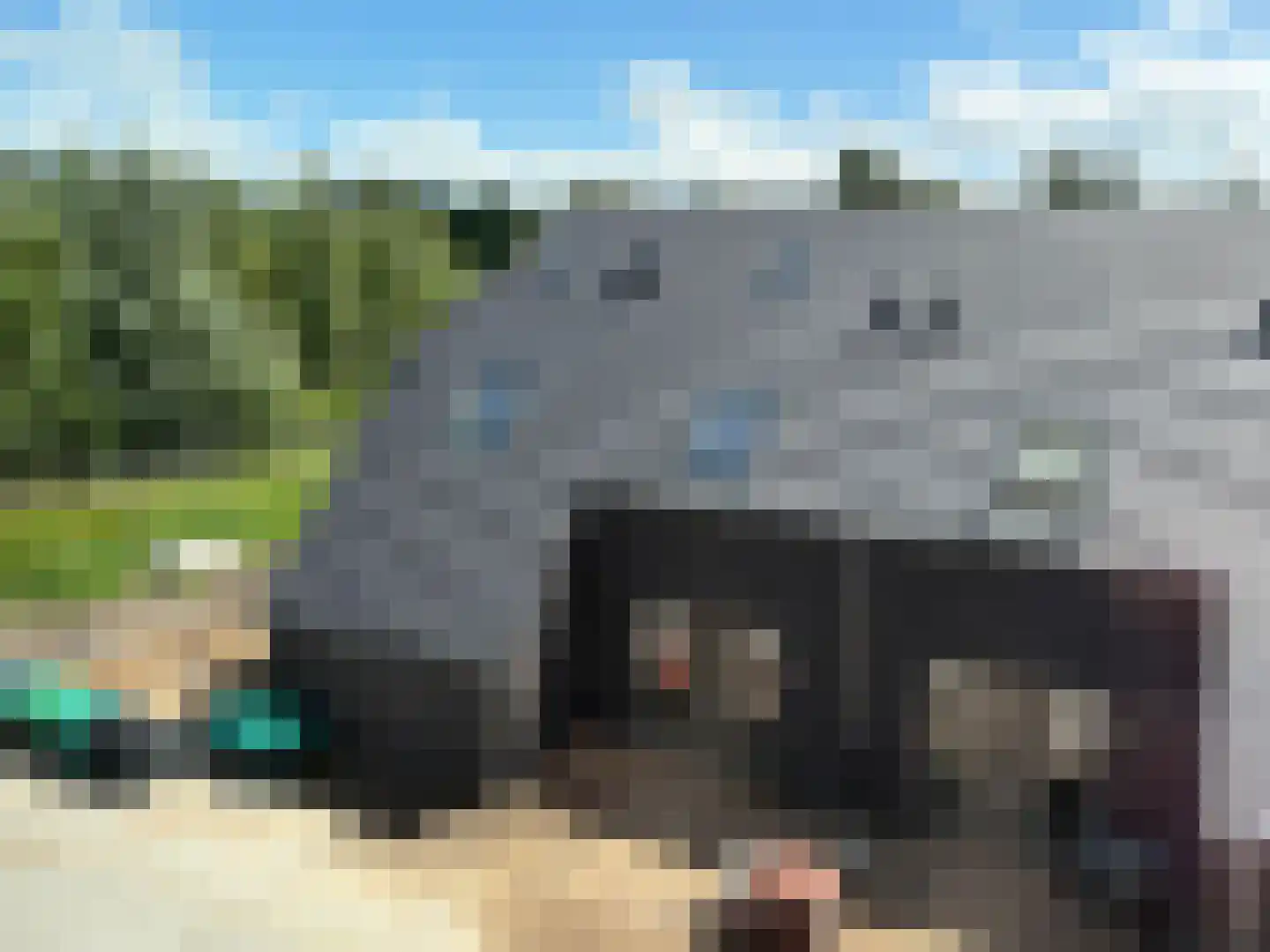 Hofstelsel 22 Meppel thumbnail 6