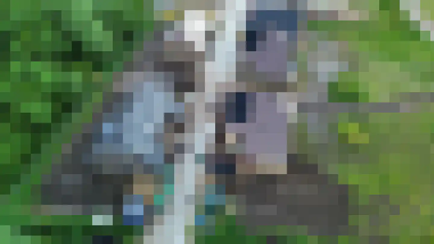 Hofstelsel 22 Meppel thumbnail 7