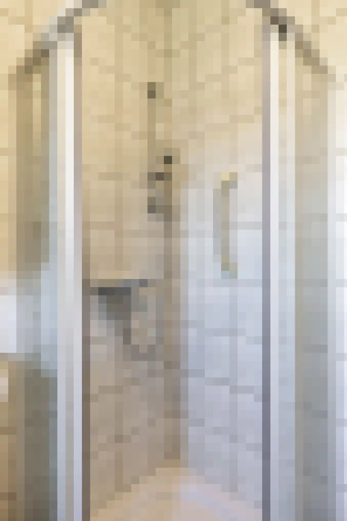 Hofstraat 1 Loppersum thumbnail 25