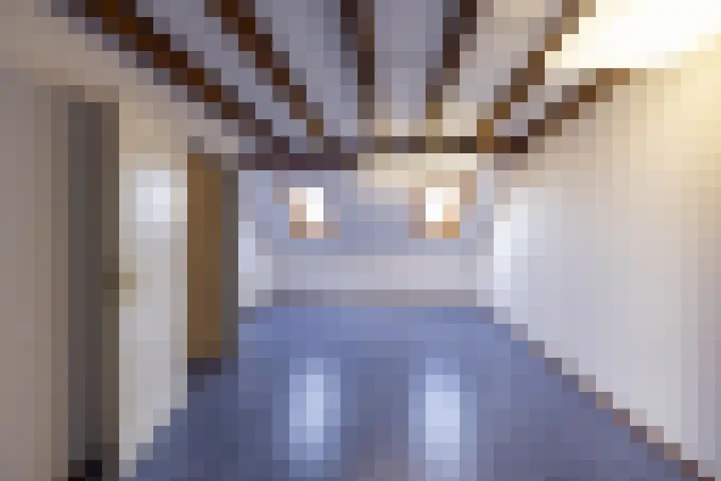 Hofstraat 1 Loppersum thumbnail 33