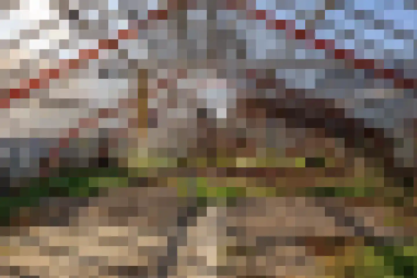 Hofstraat 1 Loppersum thumbnail 47
