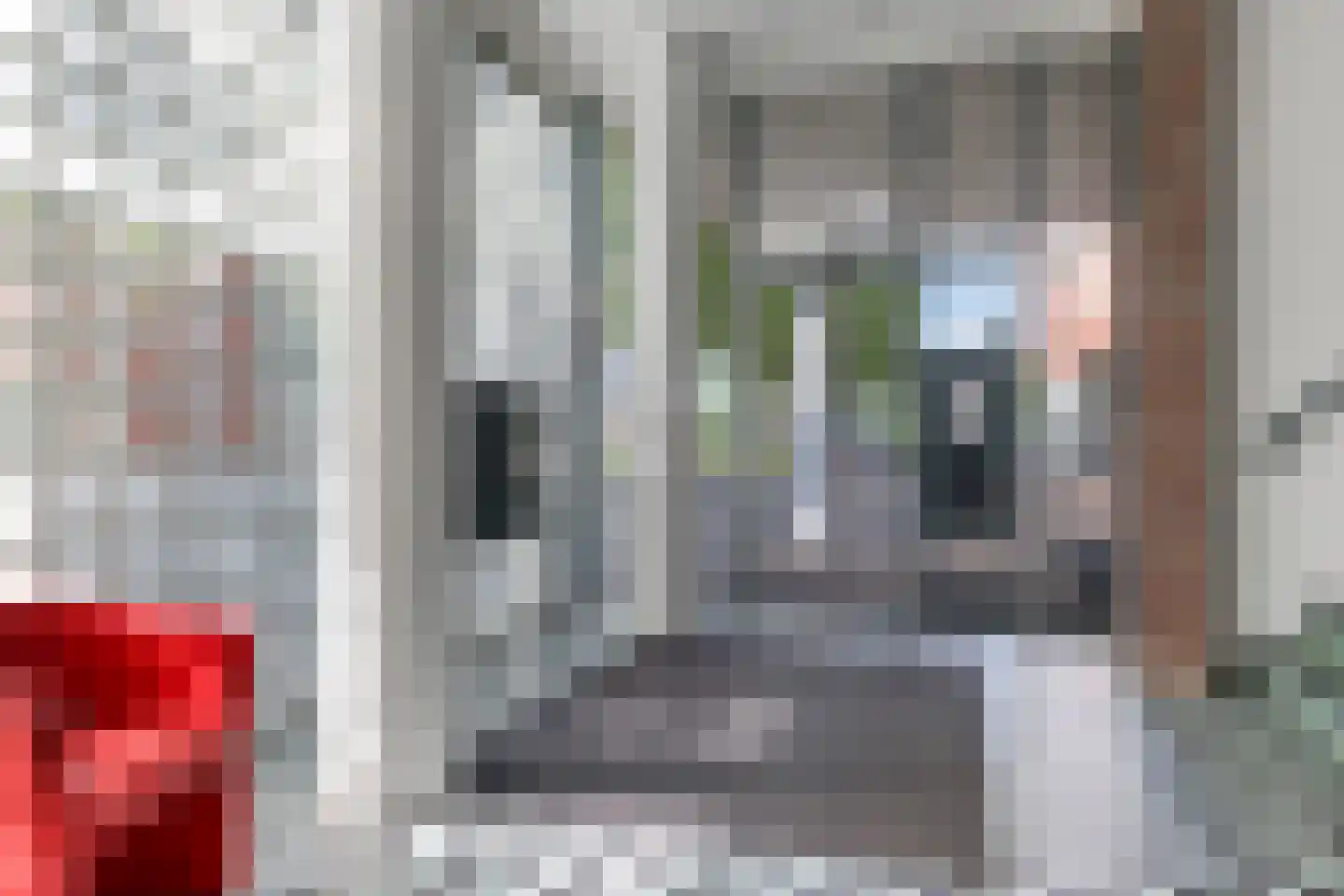 Hofstraat 105 Doetinchem thumbnail 6