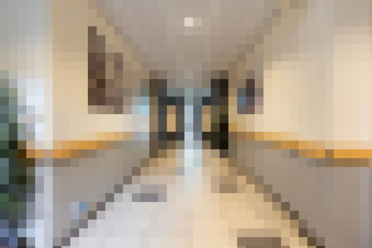 Hofstraat 107 Apeldoorn thumbnail 27