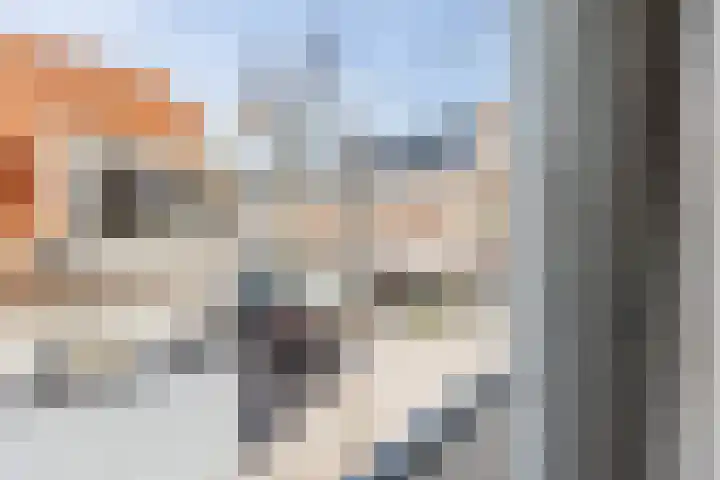 Hofstraat 11 Alkmaar thumbnail 13