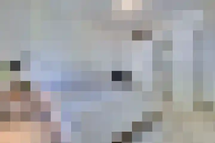 Hofstraat 11 B Geleen thumbnail 33