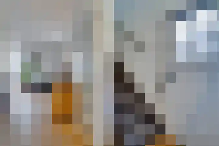 Hofstraat 11 B Geleen thumbnail 7