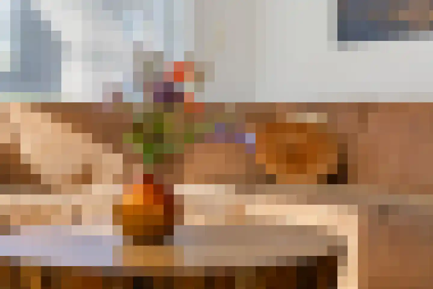 Hofstraat 12 Den Dungen thumbnail 12