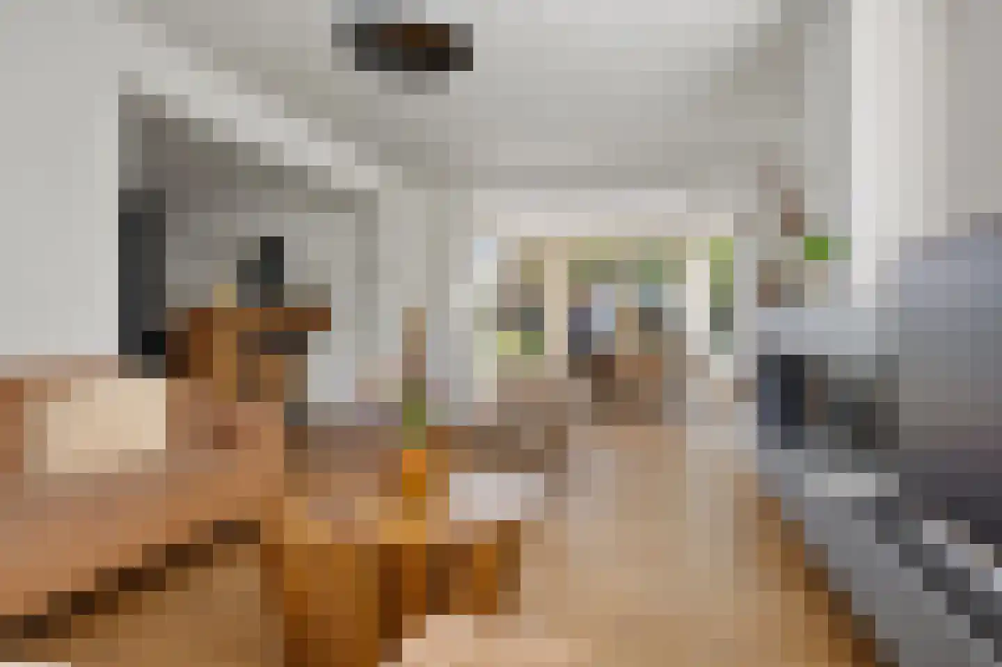 Hofstraat 12 Den Dungen thumbnail 14