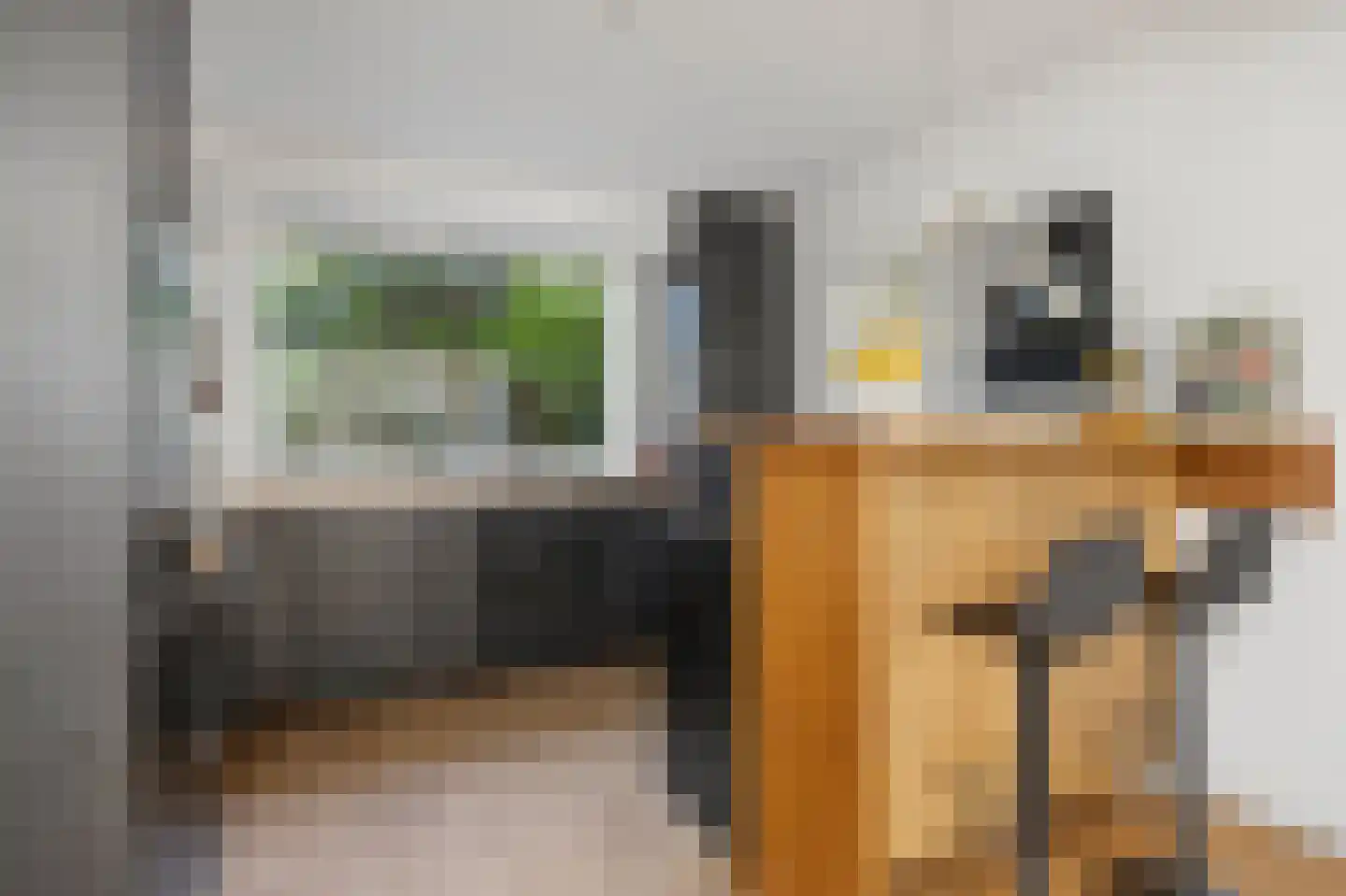 Hofstraat 12 Den Dungen thumbnail 16
