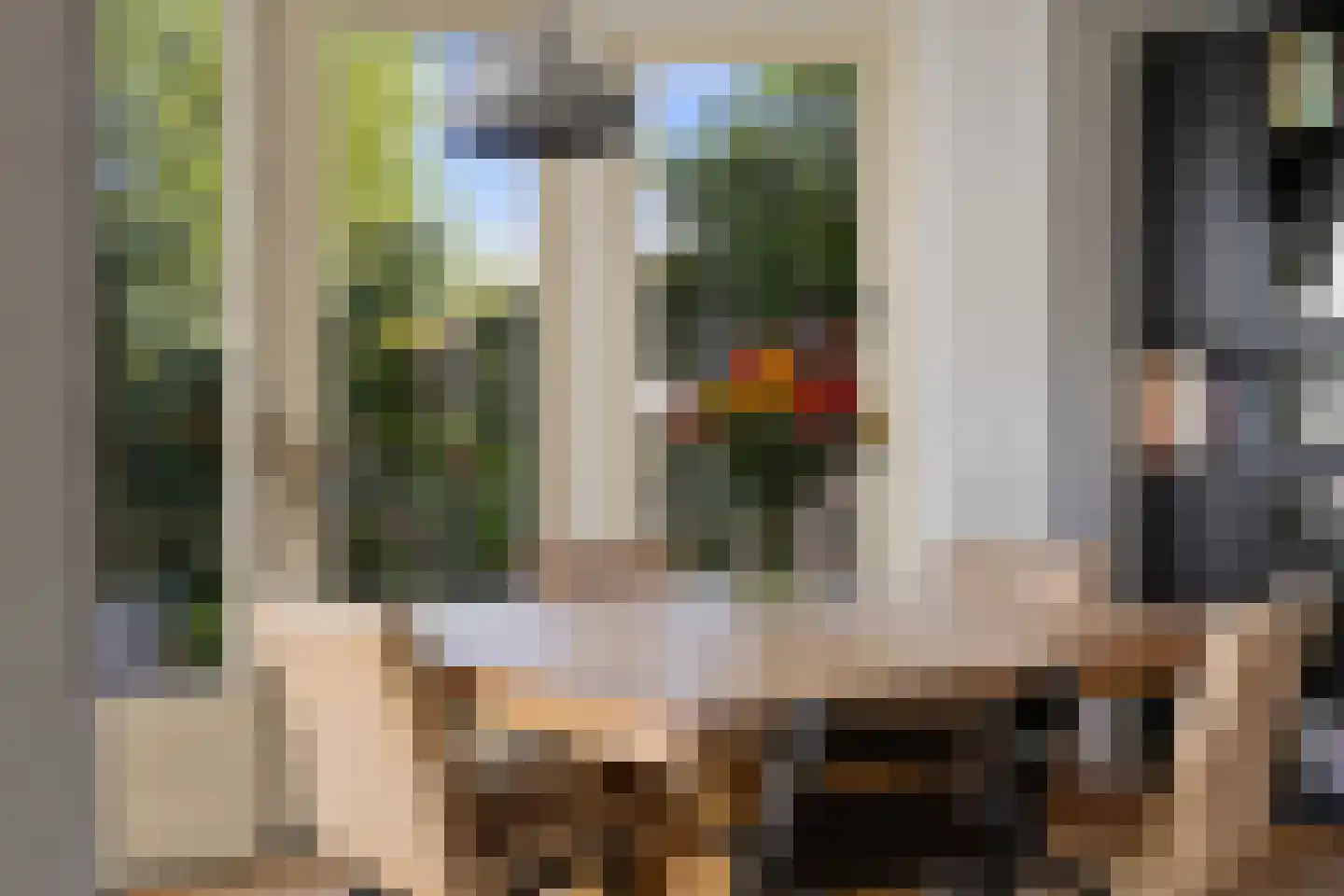 Hofstraat 12 Den Dungen thumbnail 24