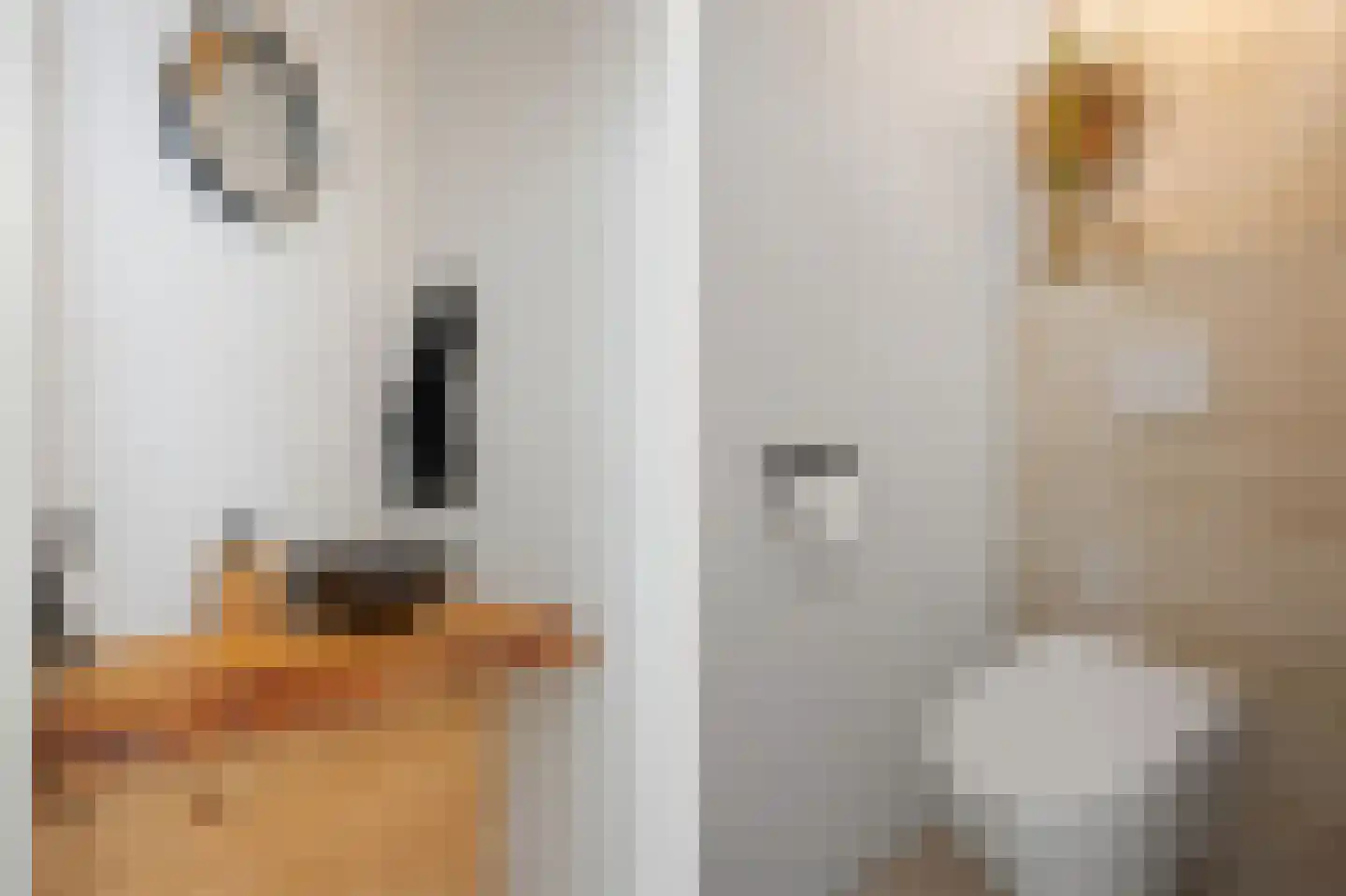 Hofstraat 12 Den Dungen thumbnail 33