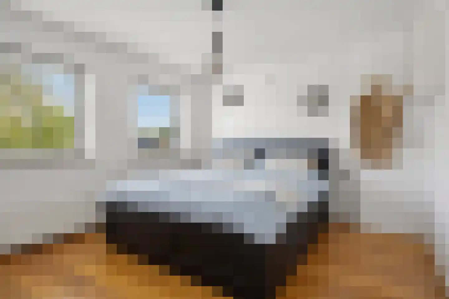 Hofstraat 12 Den Dungen thumbnail 36