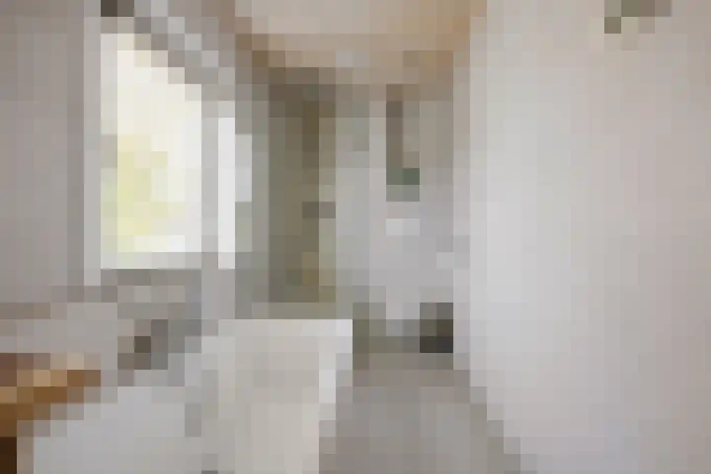 Hofstraat 12 Den Dungen thumbnail 41
