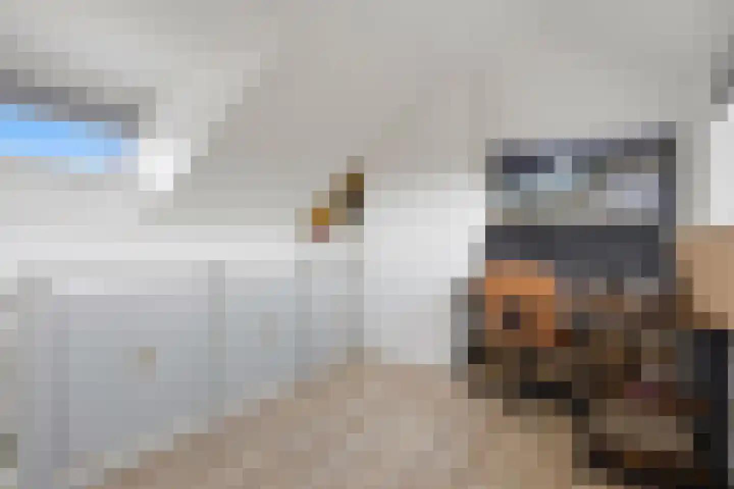 Hofstraat 12 Den Dungen thumbnail 46