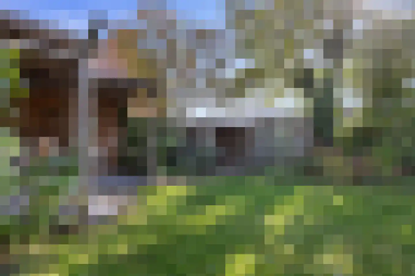 Hofstraat 12 Den Dungen thumbnail 55