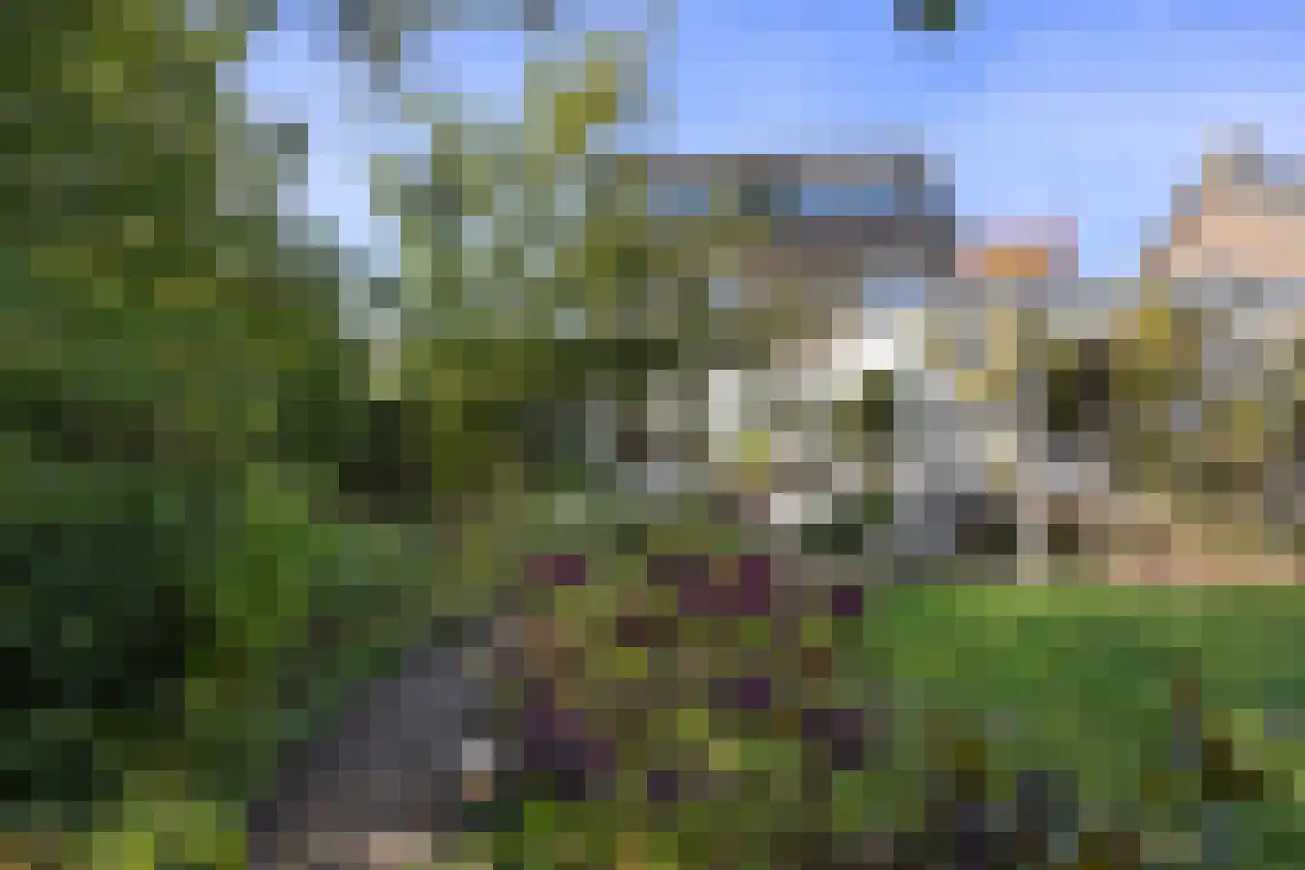 Hofstraat 12 Den Dungen thumbnail 56