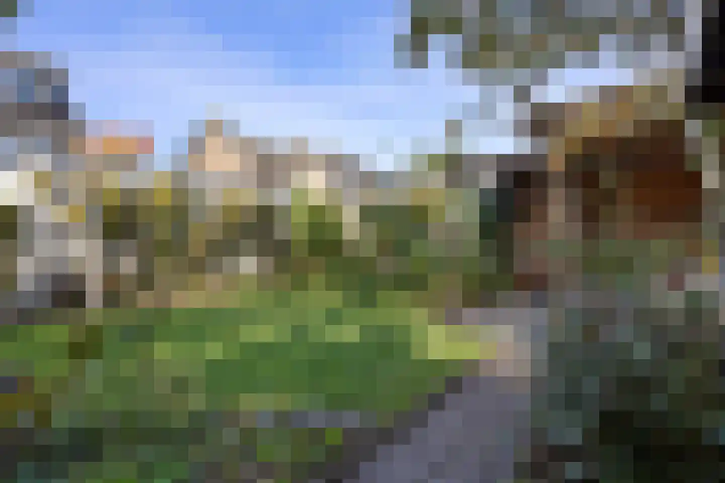 Hofstraat 12 Den Dungen thumbnail 58