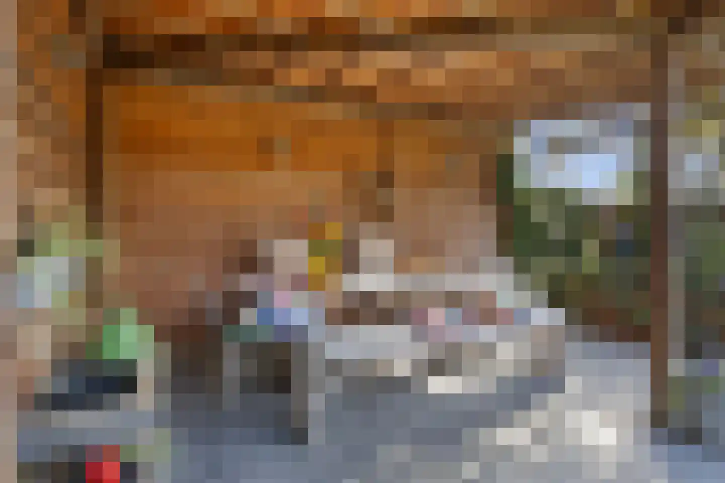Hofstraat 12 Den Dungen thumbnail 62