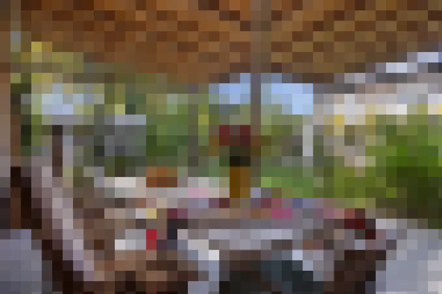 Hofstraat 12 Den Dungen thumbnail 63
