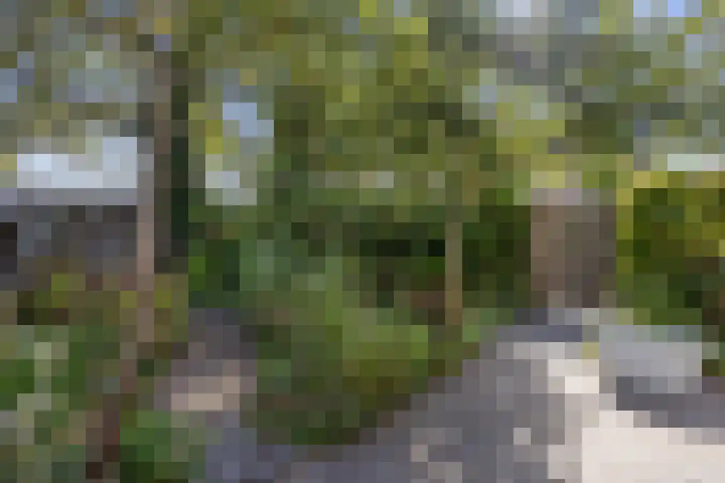 Hofstraat 12 Den Dungen thumbnail 64