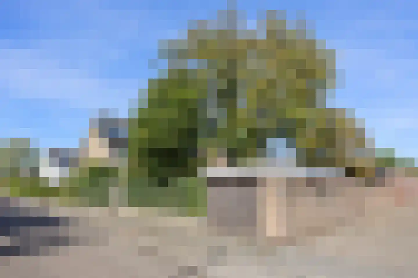 Hofstraat 12 Den Dungen thumbnail 66