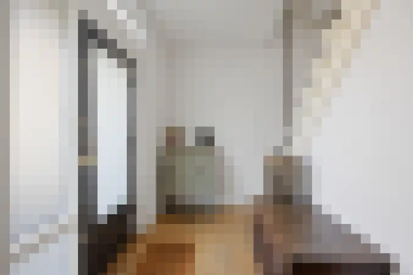 Hofstraat 12 Den Dungen thumbnail 7