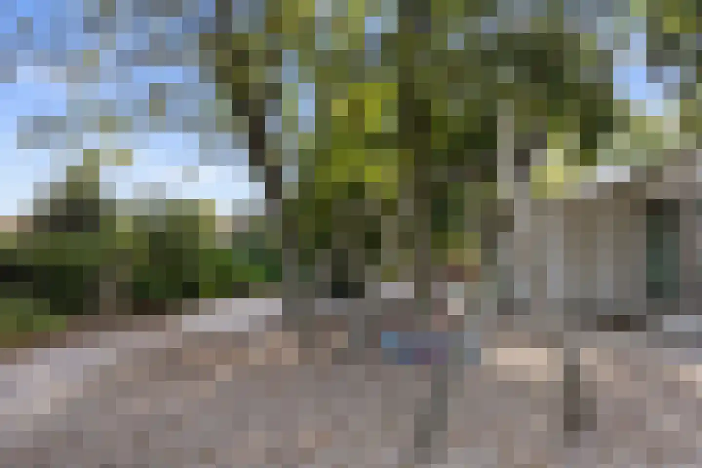 Hofstraat 12 Den Dungen thumbnail 74