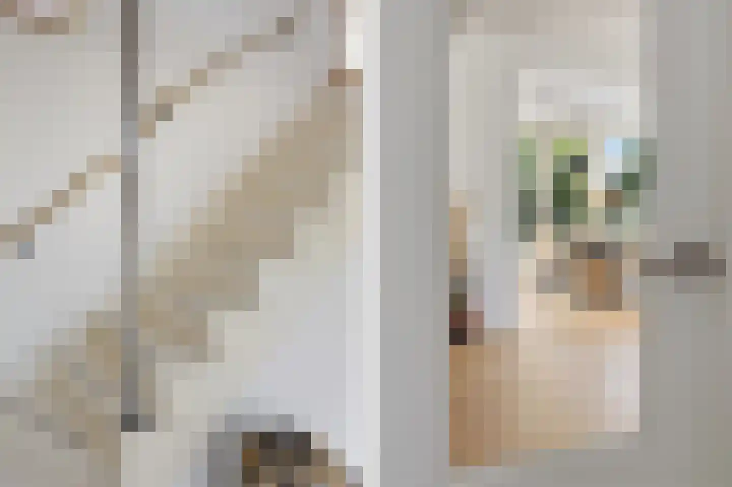 Hofstraat 12 Den Dungen thumbnail 8