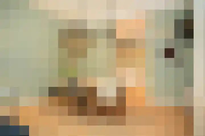 Hofstraat 14 Utrecht thumbnail 8