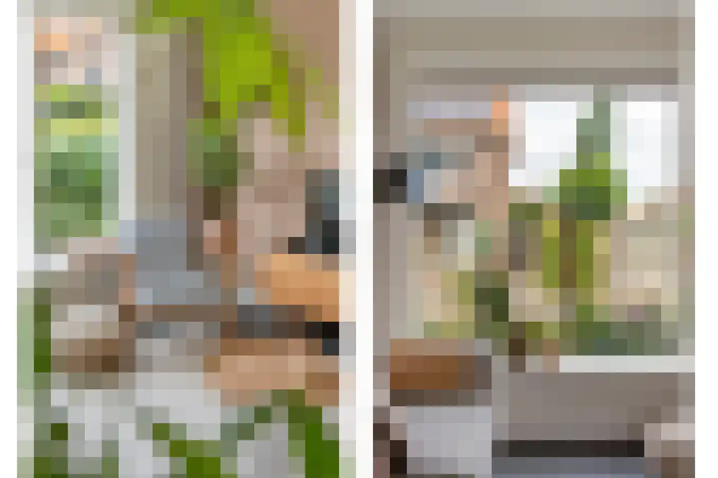 Hofstraat 15 Dalfsen thumbnail 10
