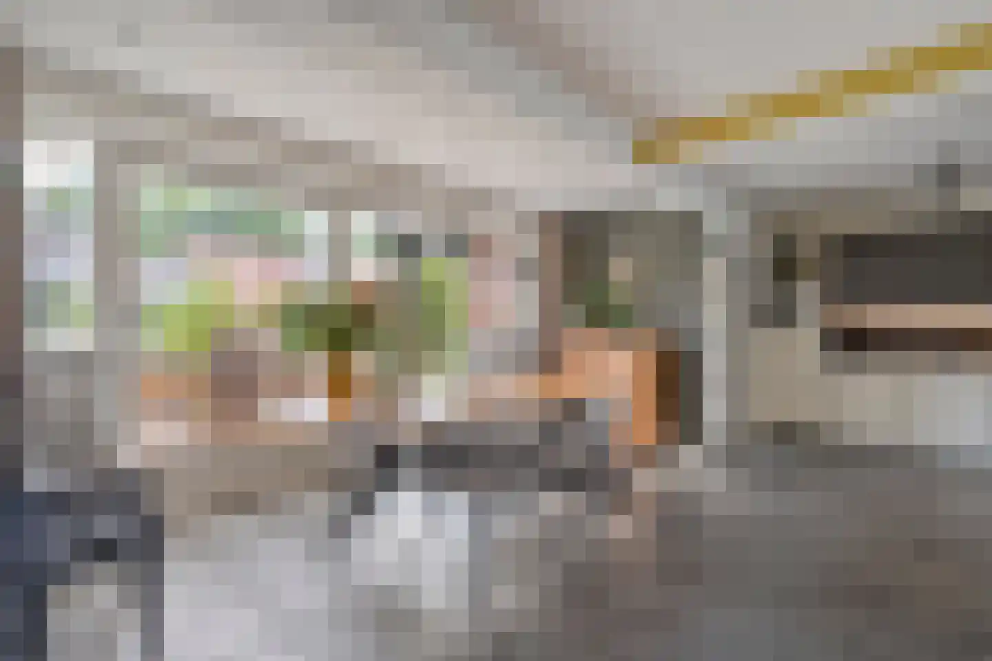 Hofstraat 15 Dalfsen thumbnail 11
