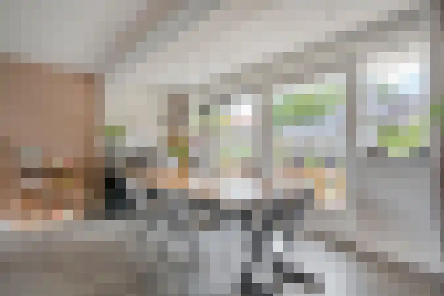 Hofstraat 15 Dalfsen thumbnail 12